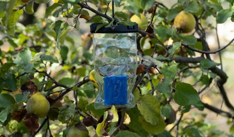 Comunicados Internacional