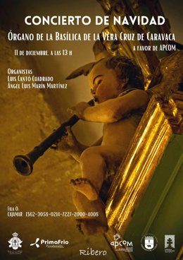 Cartel del concierto