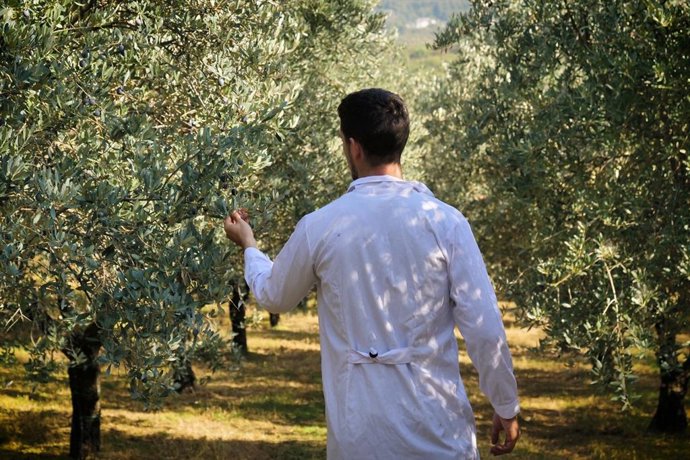 Archivo - Agricultura, agricultor, campo (Foto de recurso).