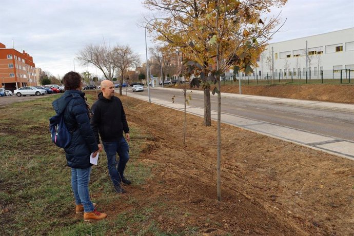 El Ayuntamiento finaliza la plantación de 50 nuevos árboles en el barrio de Nueva Segovia con un gasto de 48.400 euros