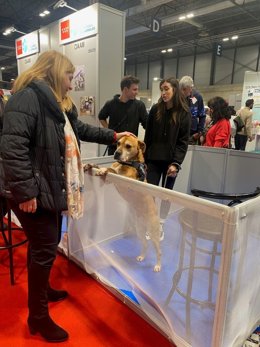 La delegada de Seguridad y Emergencias, Inmaculada Sanz, visita 100x100 Mascota
