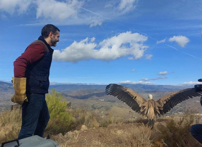 Fernández-Pacheco durante la suelta