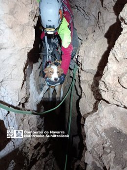 Rescate de un perro caído a unas estrechas galerías en Guembre (Navarra)
