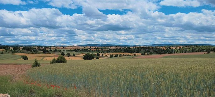 La jornada versará sobre agroecología y alimentación.