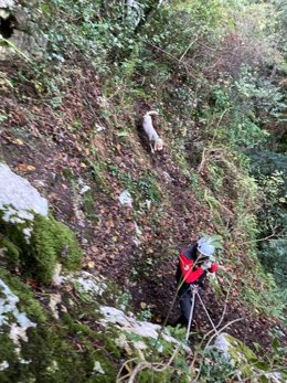 Rescate del perro enriscado en Lebeña