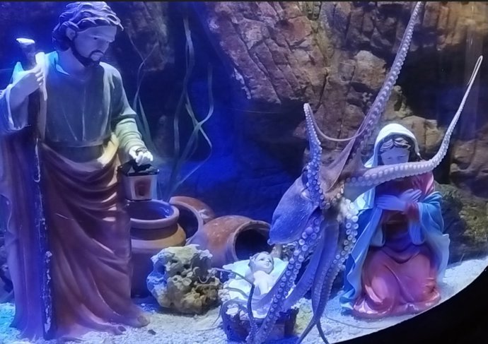 Una cueva rodeada de tentáculos, nuevo escenario del Belén submarino de Sea Life