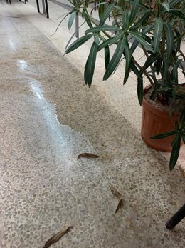 Agua en el suelo del hipódromo de Son Pardo.