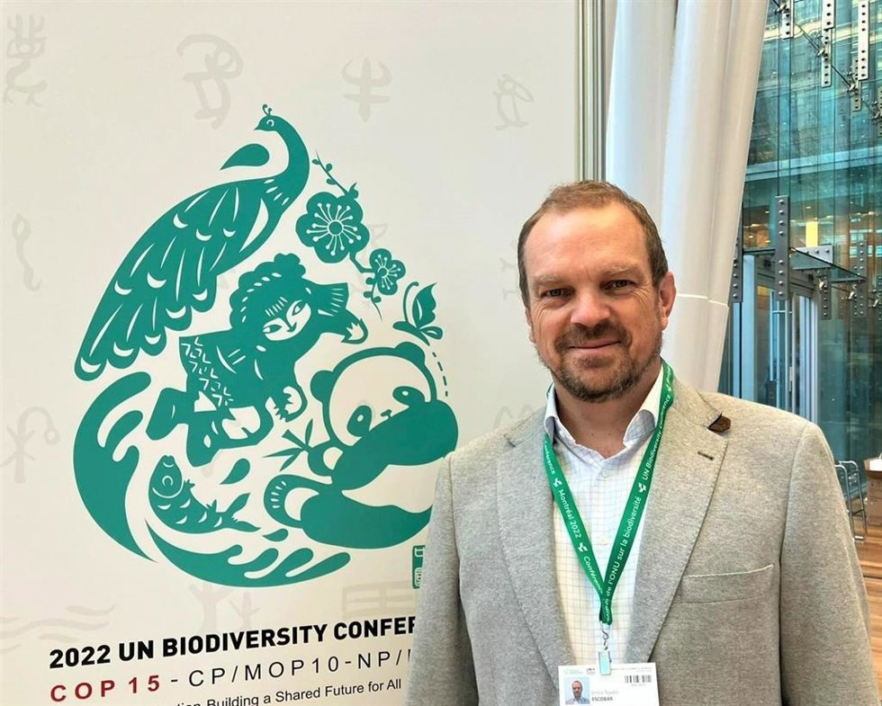 Emilio Tejedor, director de Medio Ambiente de Iberdrola