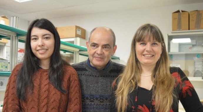 Científicos detectan la unión de dos proteínas que intervienen en el cáncer.