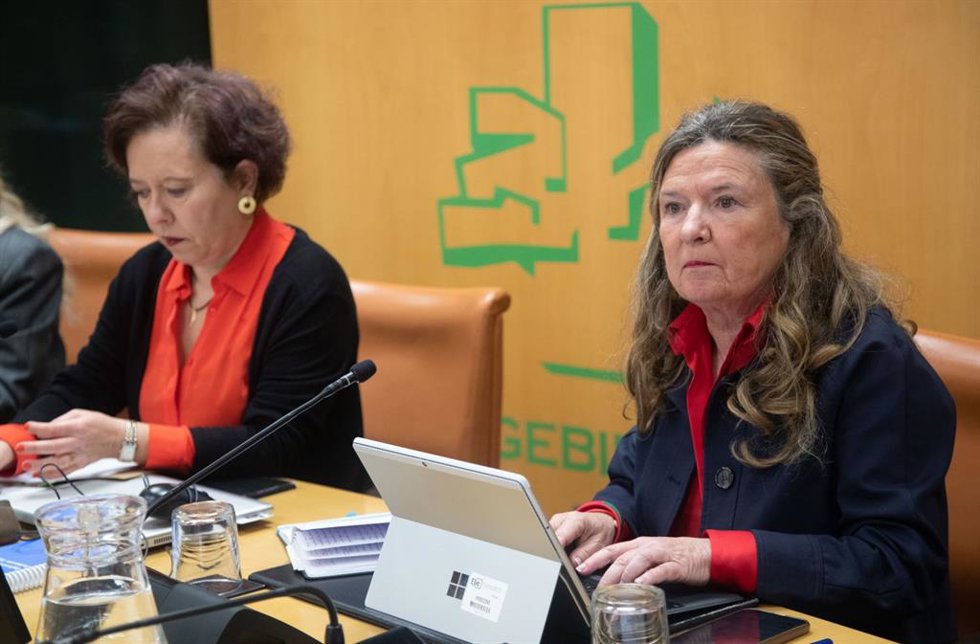 Sagardui ha presentado en la Cámara vasca el 'Plan de Normalización del Uso del Euskera en Osakidetza'