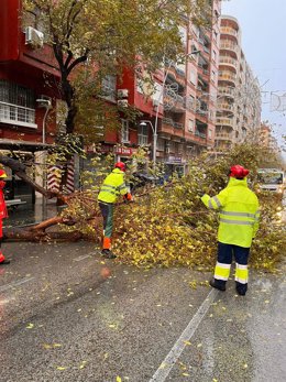Retirada de ramas en la Avenida de Andalucía