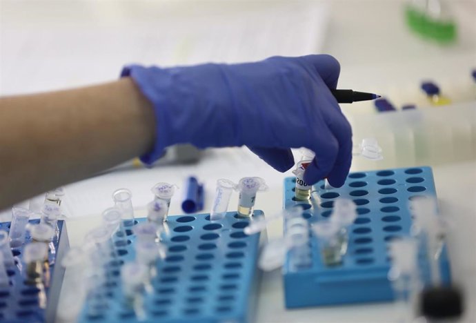 Archivo - Imagen de archivo de análisis médicos