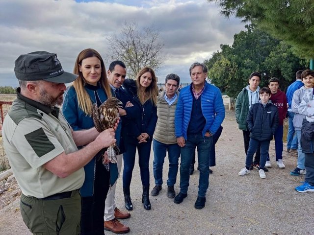 Suelta de un ratonero común