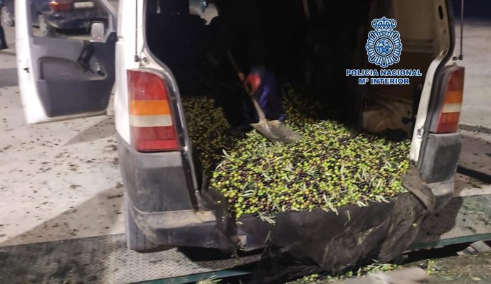 Detienen a ocho personas sorprendidas con una tonelada de aceitunas robadas en Antequera