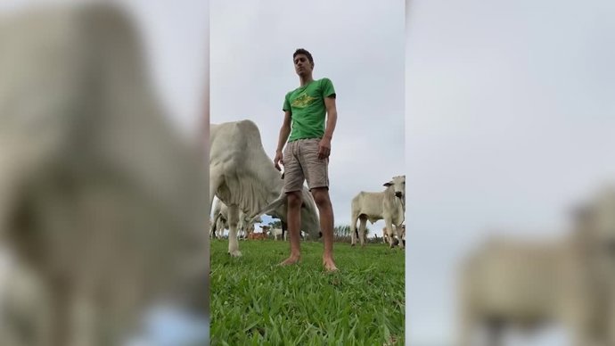 La amistad mas particular entre este hombre y una vaca
