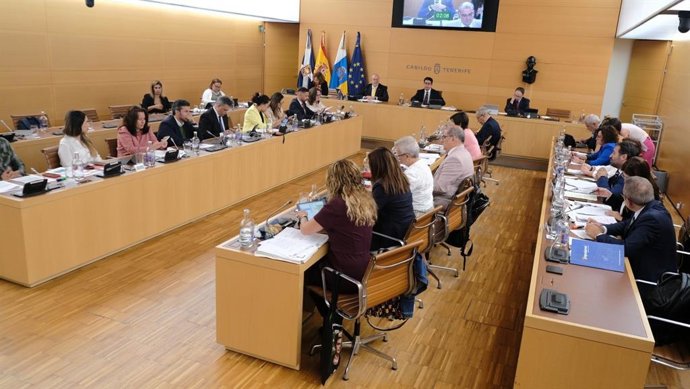 Pleno del Cabildo de Tenerife