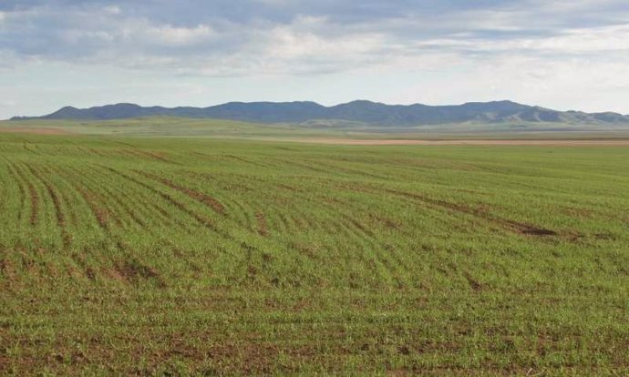Tierra cultivada en el norte de Mongolia