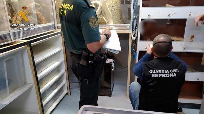 Agentes del Seprona investigando los animales que el detenido tenía