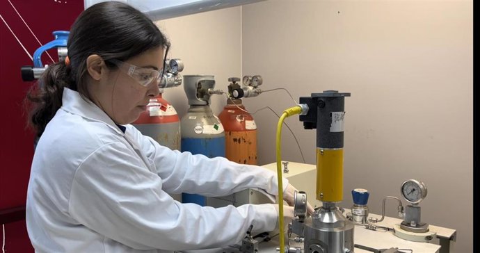 La investigadora onubense Elena Borrego.