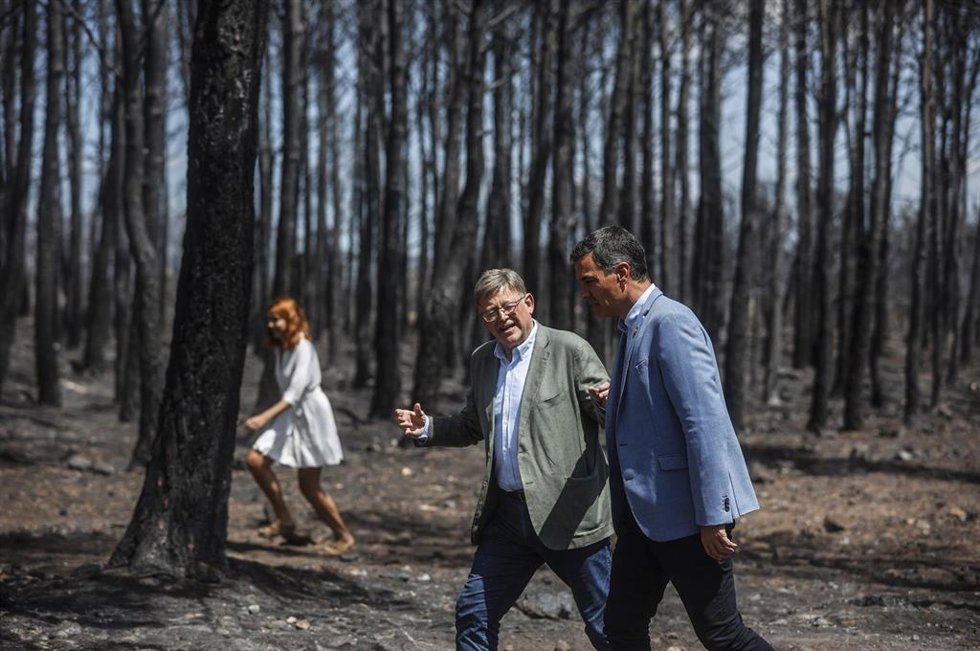 Archivo - Ximo Puig y Pedro Sánchez en una imagen de archivo