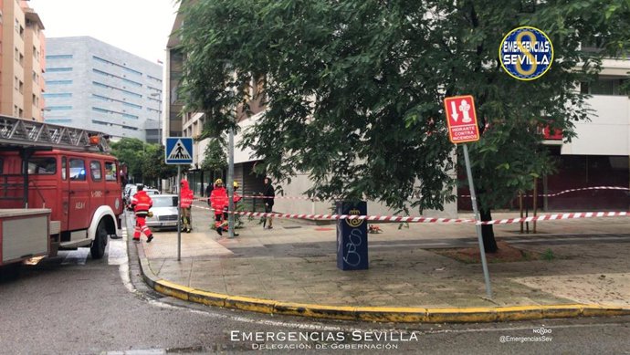 Bomberos intervienen en Ramón Carande ante el riesgo de caída de un árbol