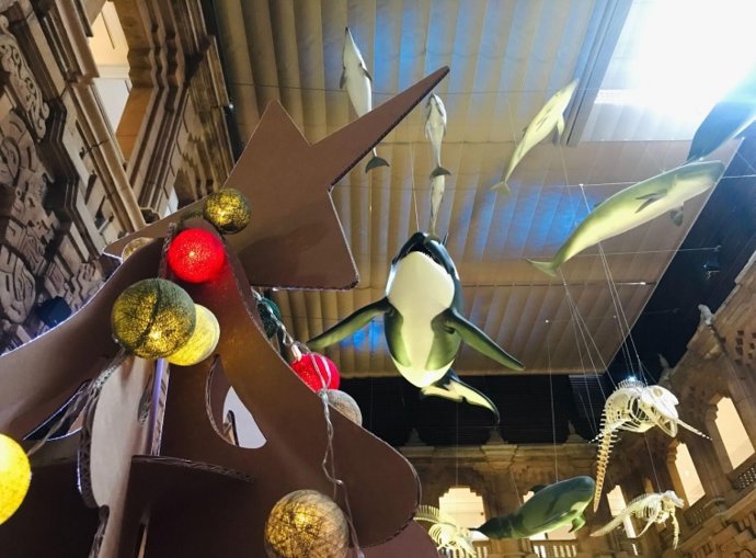 La Casa de la Ciencia presenta un amplio programa de actividades para la Navidad de 2022.