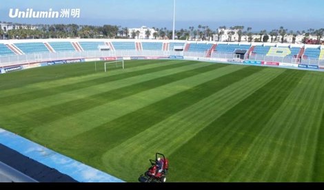 Comunicados Internacional