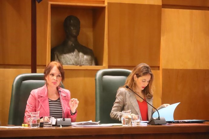 La consejera municipal de Economía, Innovación y Empleo del Ayuntamiento de Zaragoza, Carmen Herrarte, ha presentado este martes en comisión las cuentas del Área recogidas en el proyecto de presupuesto para 2023