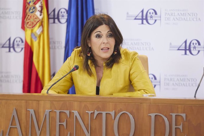 La portavoz del Grupo Parlamentario Socialista, Ángeles Férriz, en una foto de archivo en rueda de prensa.