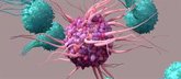 Foto: Un estudio demuestra que la actividad del sistema inmune contra el cáncer es más eficaz al amanecer