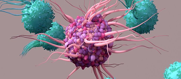 Archivo - Células dendríticas, que activan las células T, desencadenan respuestas inmunitarias y son responsables de la protección de las células del organismo.