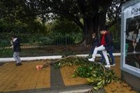 El viento y la lluvia causan casi 400 incidencias en Andalucía