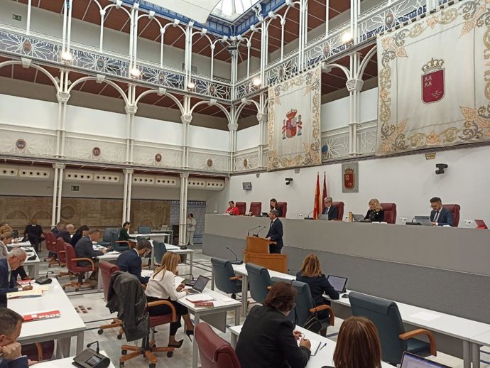 Imagen del Pleno de la Asamblea