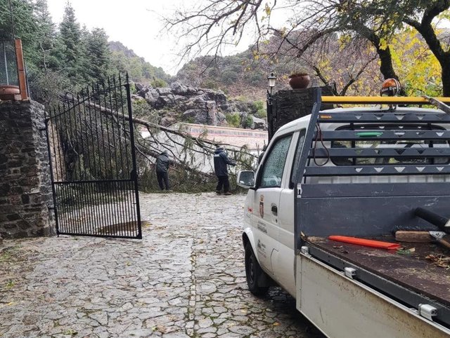 Operarios municipales de Grazalema (Cádiz) retirando ramas que han caído a la vía pública por el temporal de lluvia y viento