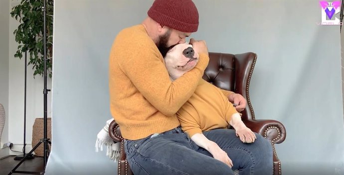 Este perro y su dueño pasan juntos como auténticos modelos