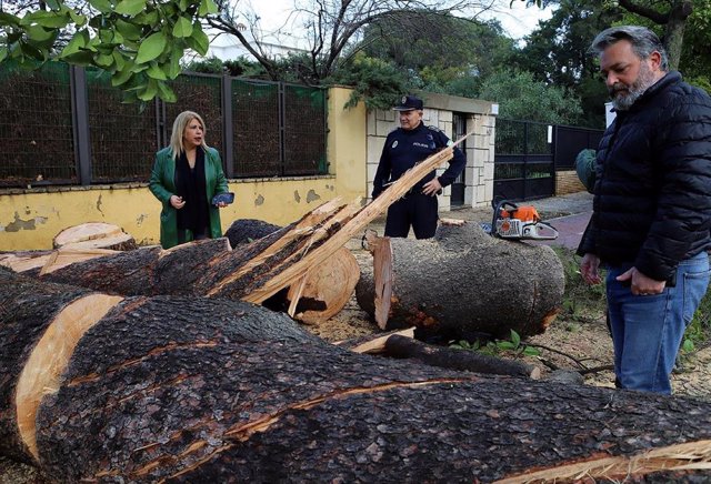 La alcaldesa de Jerez, Mamen Sánchez, visita los daños ocasionados por un vendabal que ha recorrido la ciudad