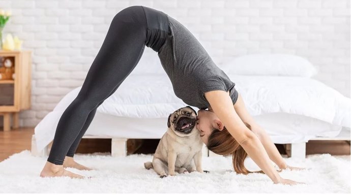 Archivo - Hacer yoga con tu perro