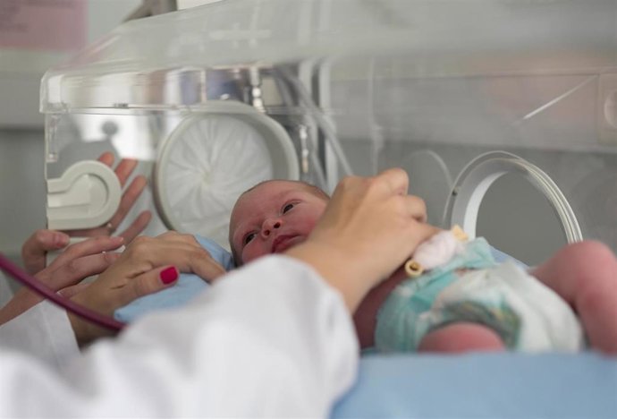 Expertos aconsejan la preservación de ovocitos por la tendencia actual en el retraso de la maternidad