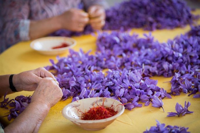 Archivo - La DOP Azafrán de La Mancha encarga a la UCLM un estudio histórico sobre el azafrán en la provincia de Albacete