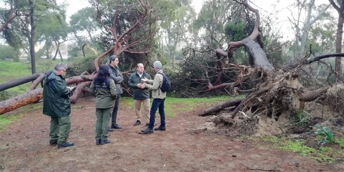 Oscar Curtido en los pinares de Rota.
