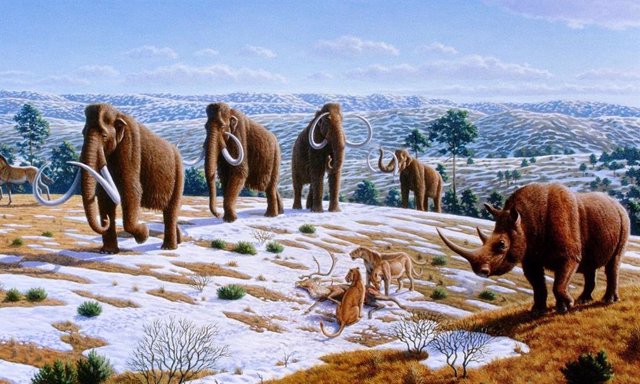 Megafauna en Europa durante el Pleistoceno