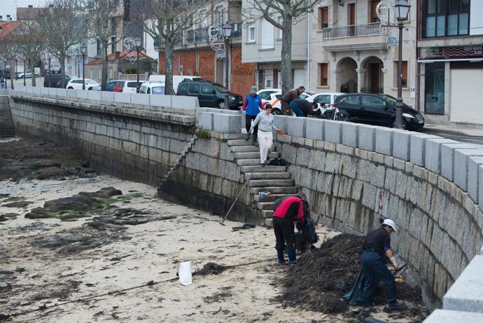 Voluntarios y agentes rurales de la zona recogen los restos de chapapote mezclados con algas, a 13 de diciembre de 2022, en Illa de Arousa, Pontevedra, Galicia (España). Por el momento se desconoce el origen del vertido de chapapote, pero fuentes munici