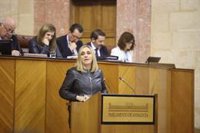 El Parlamento convalida el Decreto ley que revisa la Lista en cumplimiento del acuerdo con el Gobierno para evitar el TC