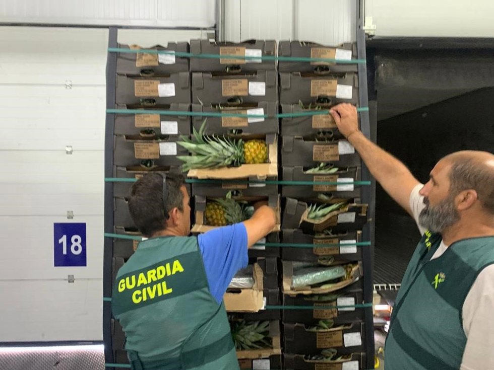 Intervenidos 1.469 kilos de cocaína ocultos en contenedores en el puerto de Algeciras (Cádiz) en una operación con 11 detenidos