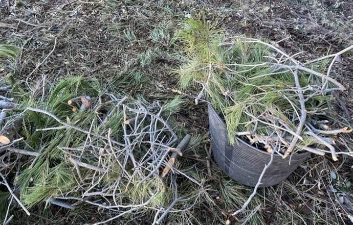 El proyecto Tabiol transformará residuos textiles y forestales en 'ecotableros' para mueble y construcción