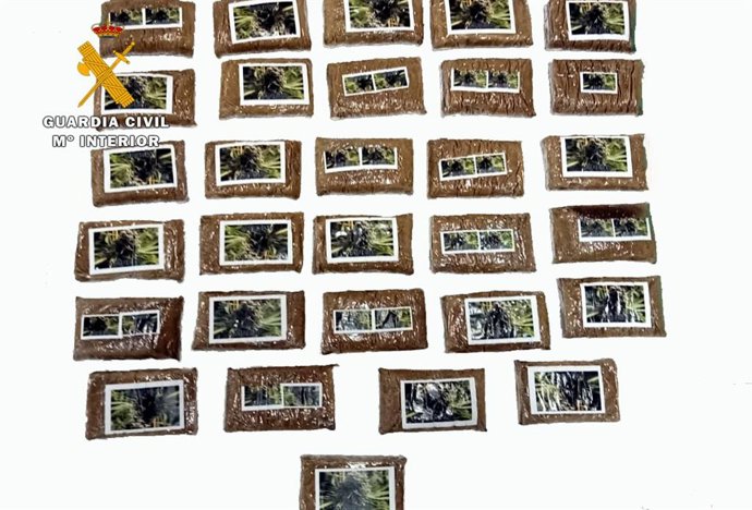 Sustancias estupefacientes intervenidas.