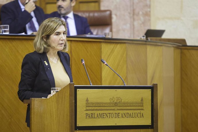 La consejera de Empleo, Empresas y Trabajadores Autónomos de la Junta de Andalucía, Rocío Blanco.