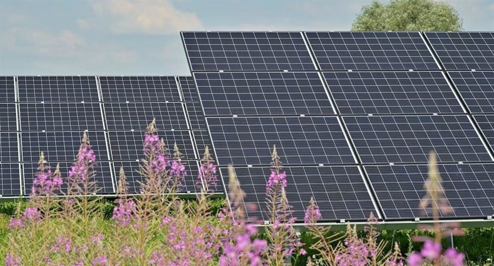 Planta fotovoltaica.
