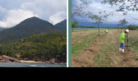 Comunicados Internacional