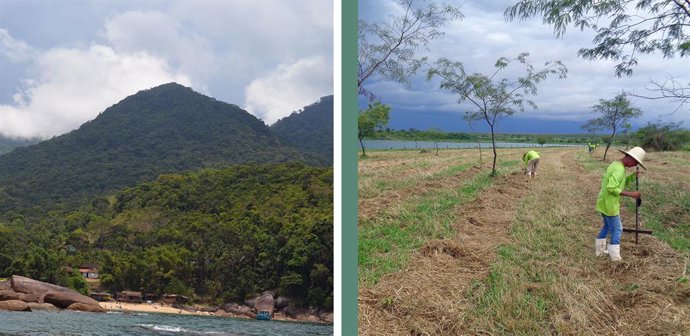 From left to right: Mata Atlntica in Parati/RJ Andrea Herrera and the restoration area of Mata Atlntica Loan Barbosa.